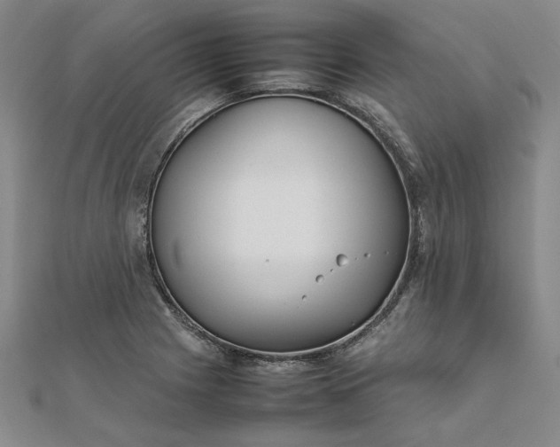 X0000111861225200908061329