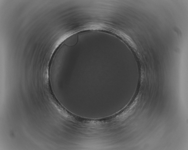 X0000111861226200908061329