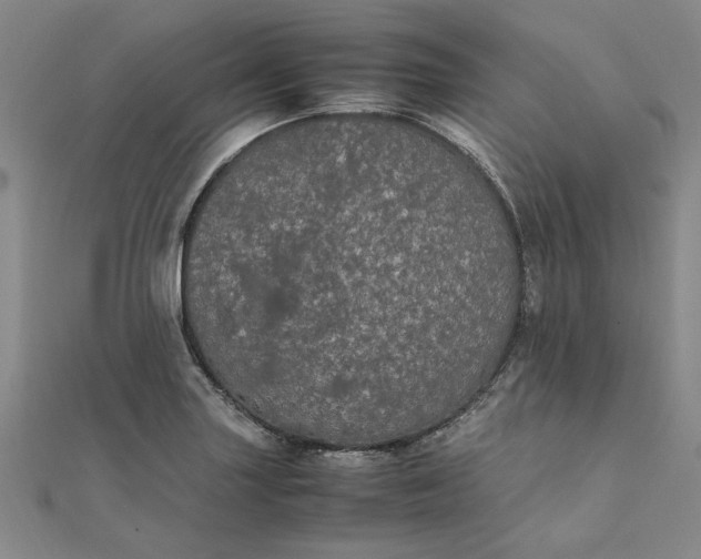 X0000111861227200908061329