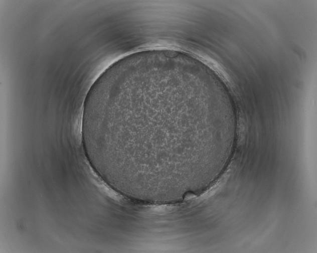 X0000111861228200908061329