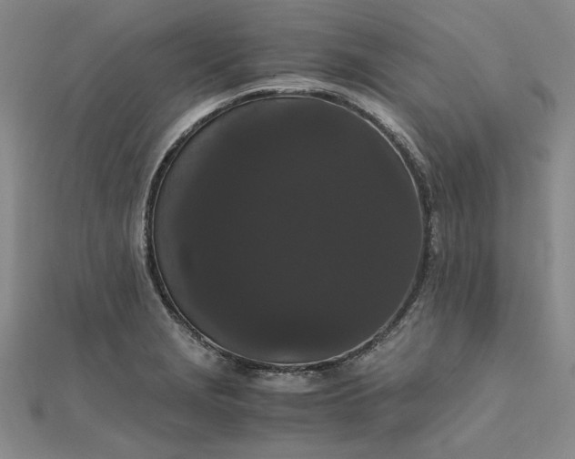 X0000111861229200908061329