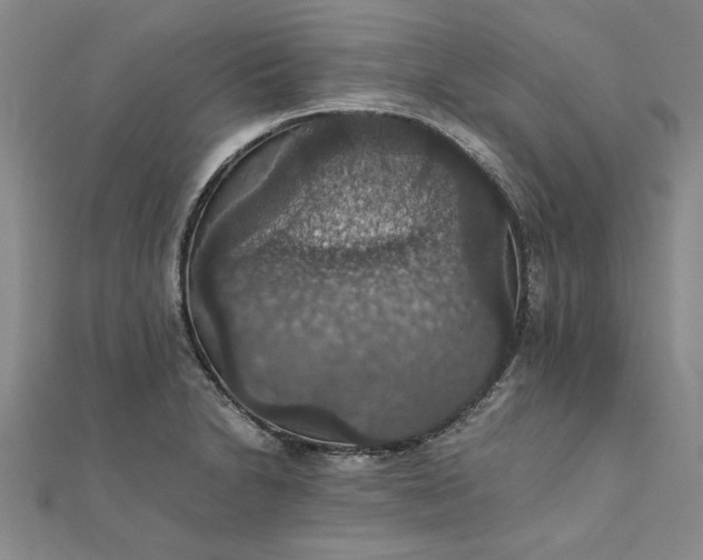 X0000111861230200908061329