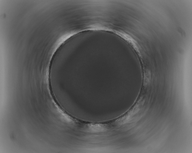 X0000111861231200908061329