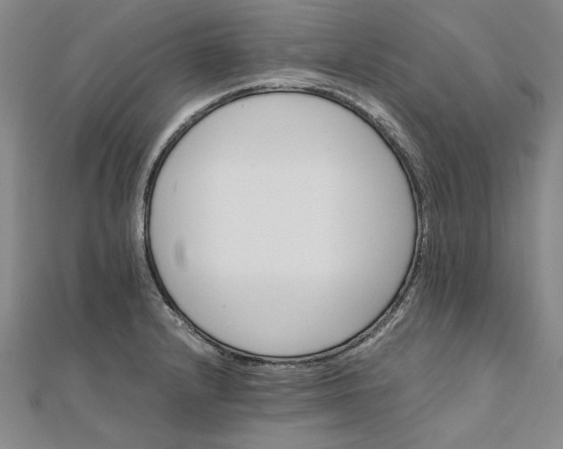 X0000111861232200908061329