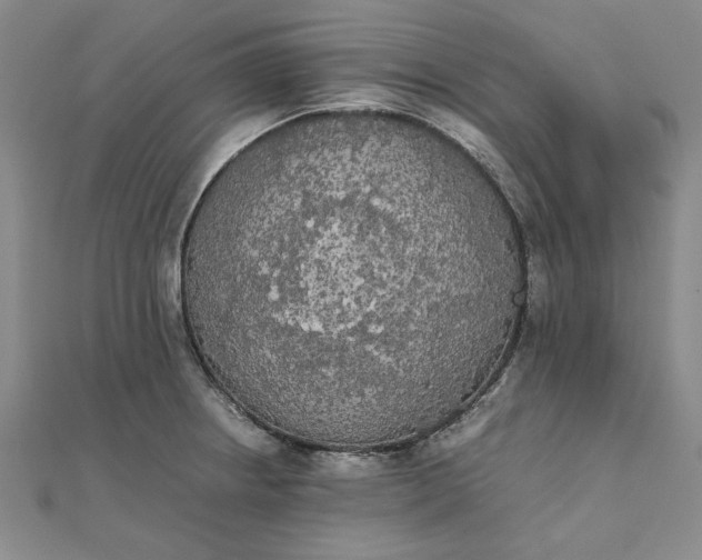 X0000111861234200908061329