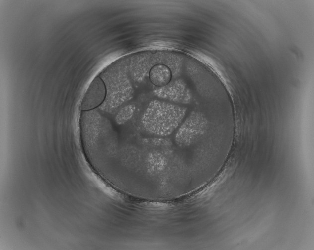 X0000111861235200908061329