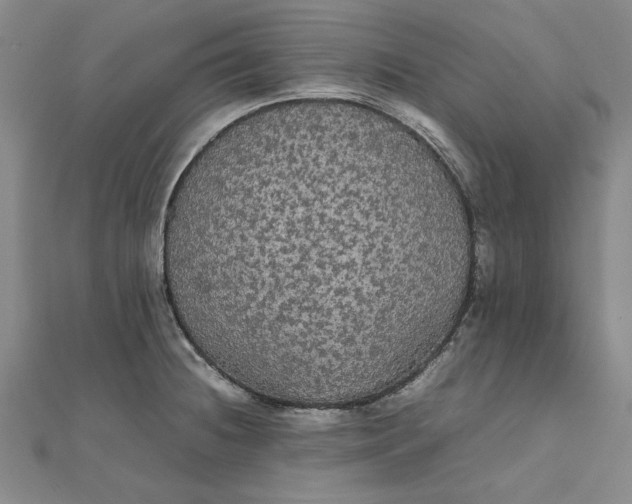 X0000111861236200908061329