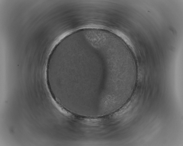 X0000111861237200908061329