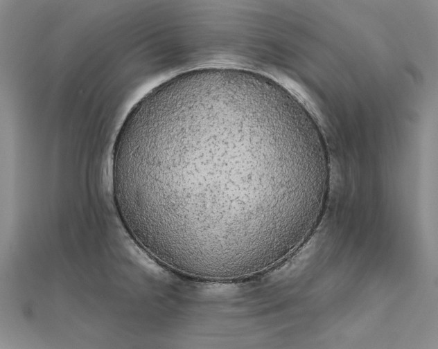 X0000111861238200908061329