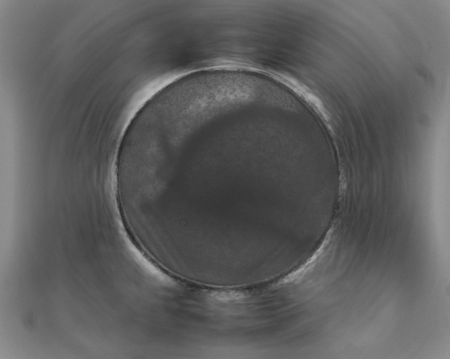 X0000111861239200908061329