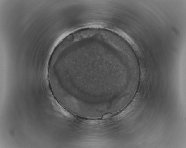 X0000111861240200908061329