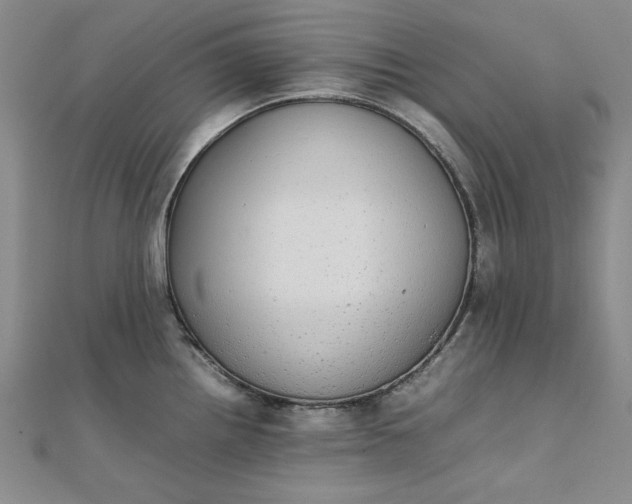 X0000111861242200908061329