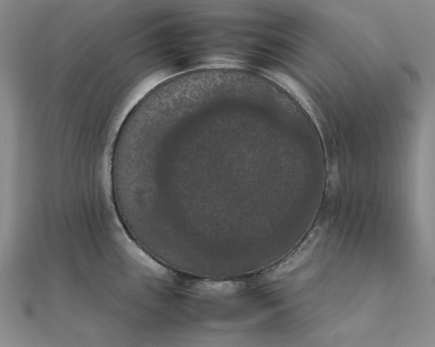 X0000111861243200908061329