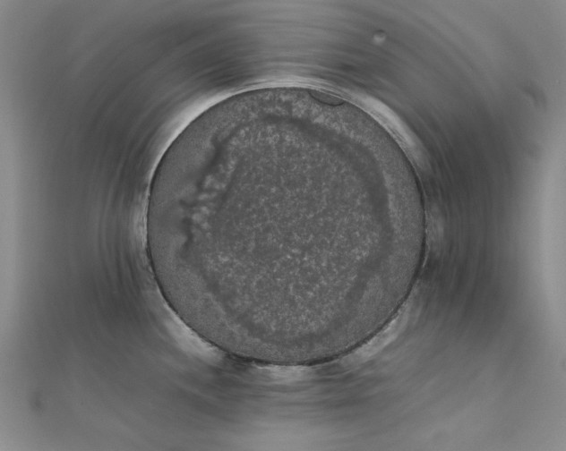 X0000111861244200908061329