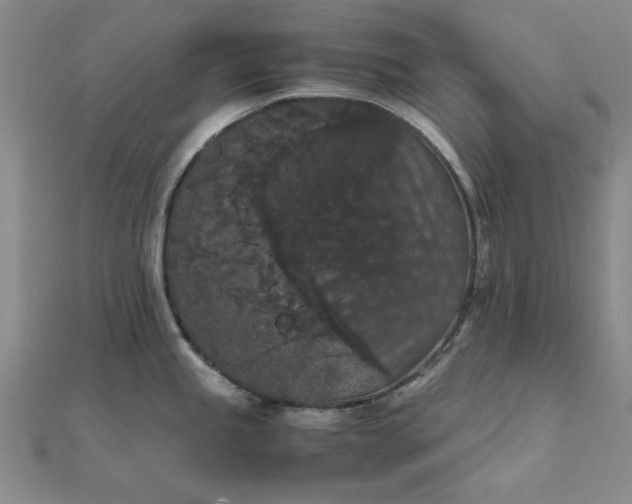 X0000111861245200908061329