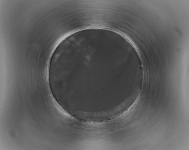 X0000111861246200908061329