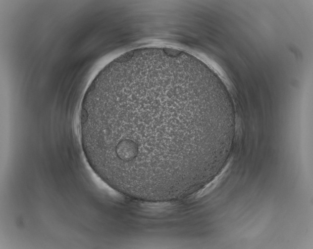 X0000111861247200908061329