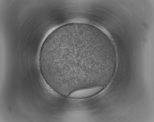 X0000111861248200908061329