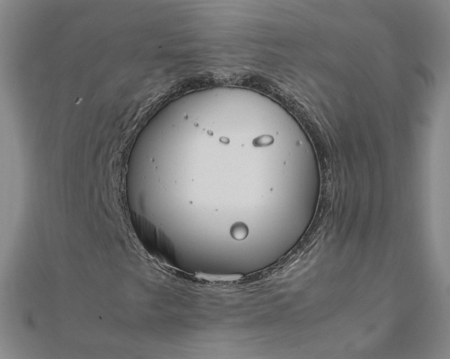 X0000111861249200908061328