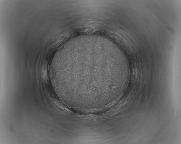 X0000111861250200908061328