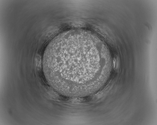 X0000111861251200908061328