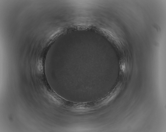 X0000111861252200908061328