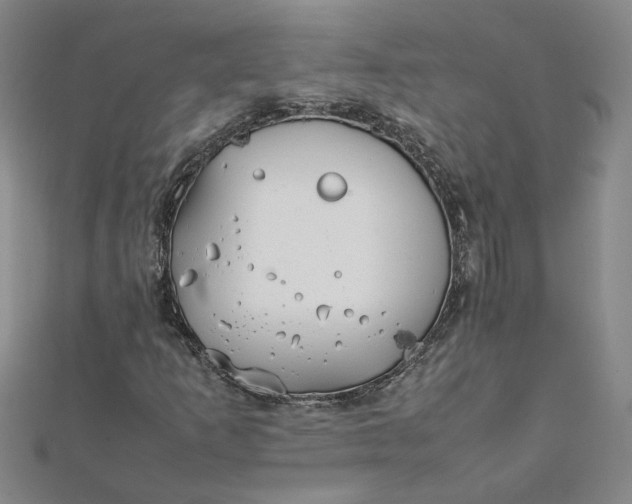 X0000111861253200908061328