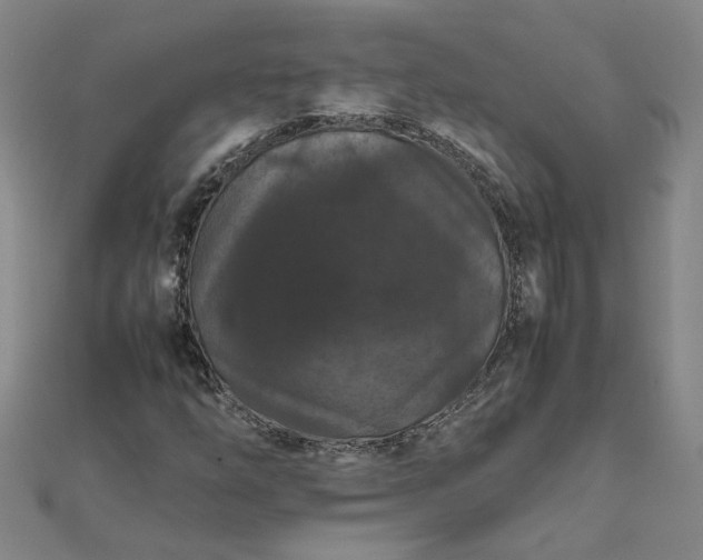 X0000111861254200908061328