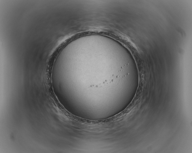 X0000111861256200908061328