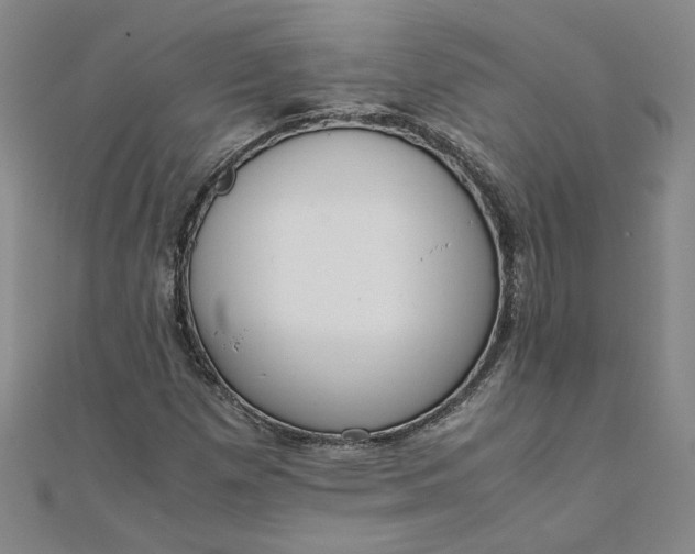 X0000111861257200908061328