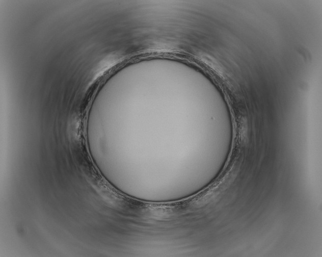 X0000111861258200908061328