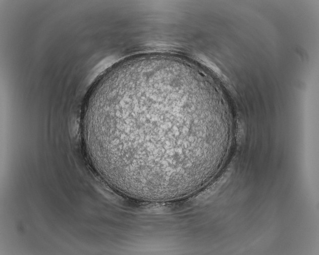 X0000111861259200908061328