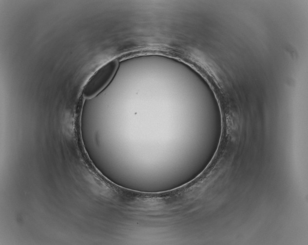 X0000111861260200908061328