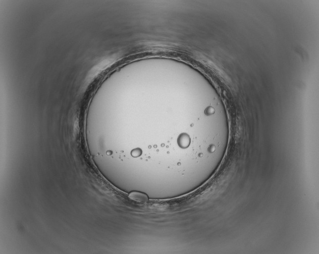 X0000111861261200908061328