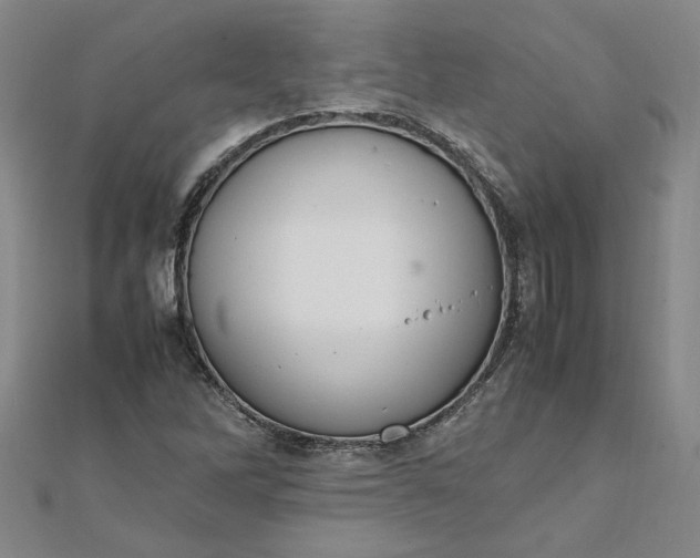 X0000111861262200908061328