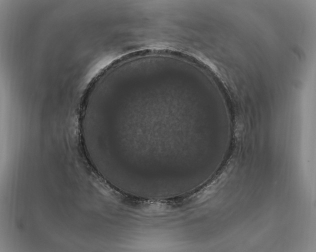 X0000111861263200908061328