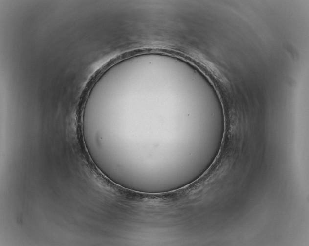 X0000111861264200908061328