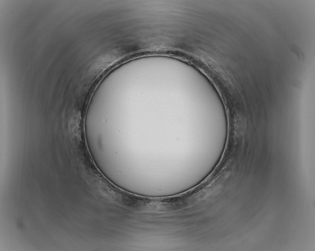 X0000111861265200908061328