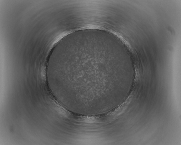 X0000111861266200908061328