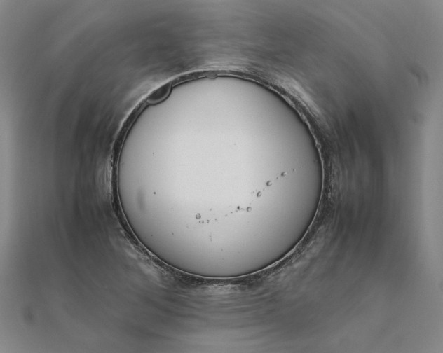 X0000111861268200908061328