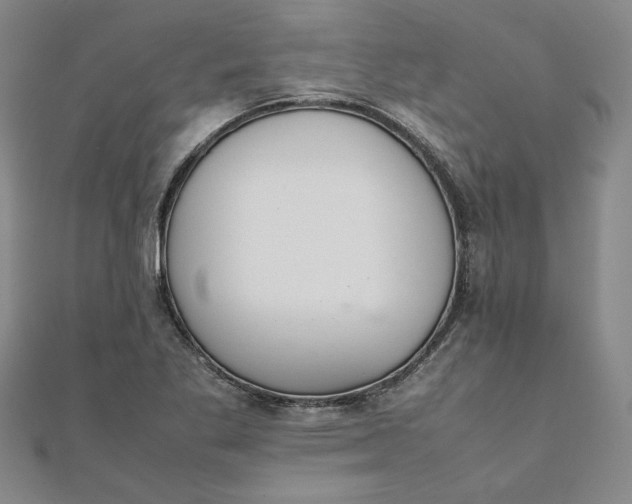 X0000111861269200908061328