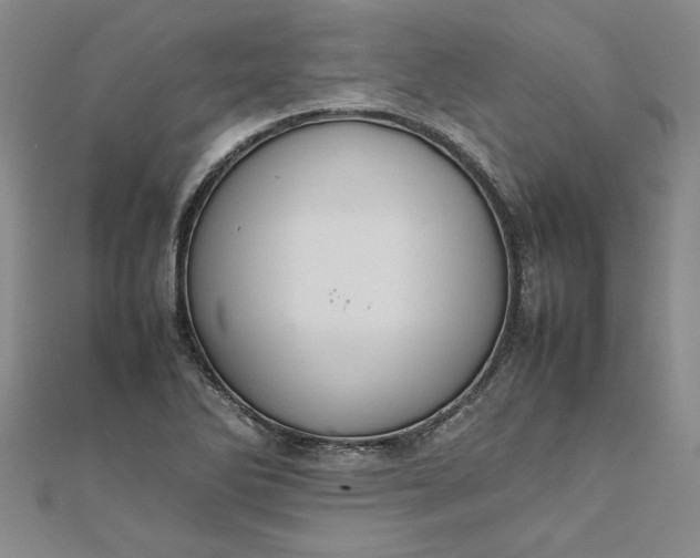 X0000111861270200908061328