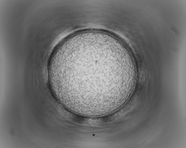 X0000111861271200908061328