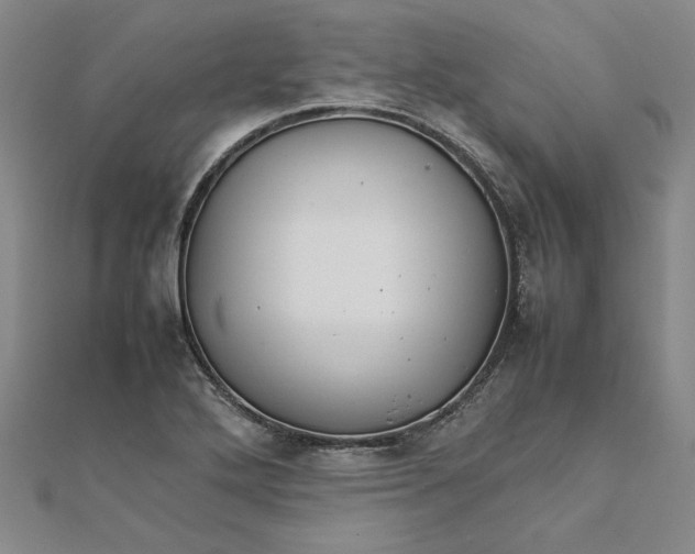 X0000111861272200908061328