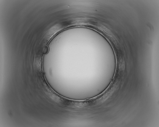 X0000111861273200908061328