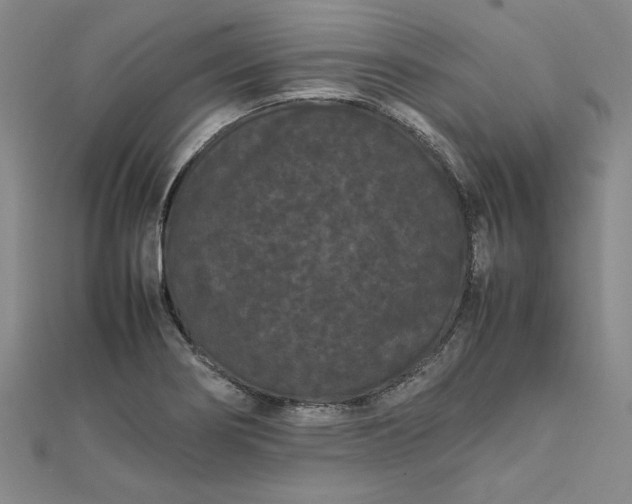 X0000111861274200908061328