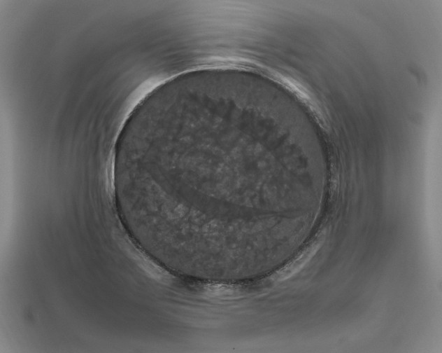 X0000111861275200908061328