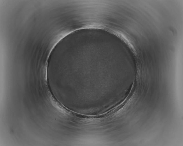 X0000111861276200908061328