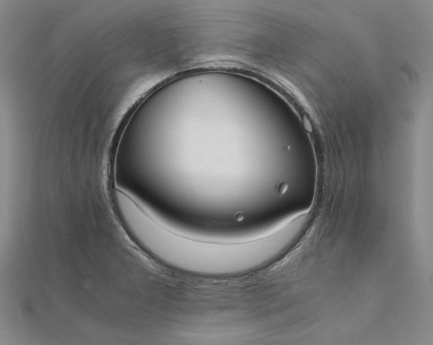 X0000111861277200908061328