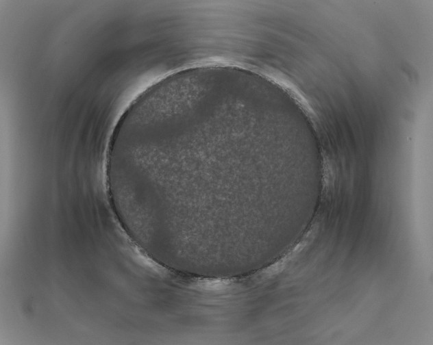 X0000111861278200908061328